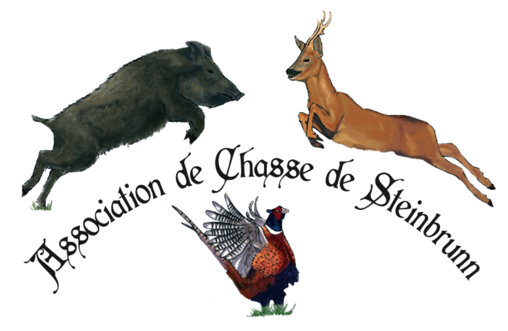 Association de chasse de Steinbrunn